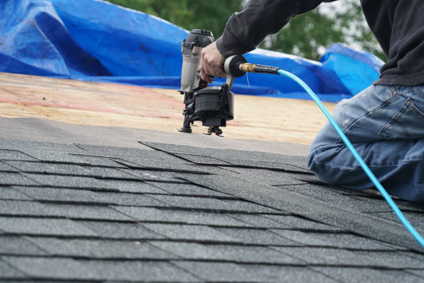 Best Residential Roofing Contractor  in Elk River, MN