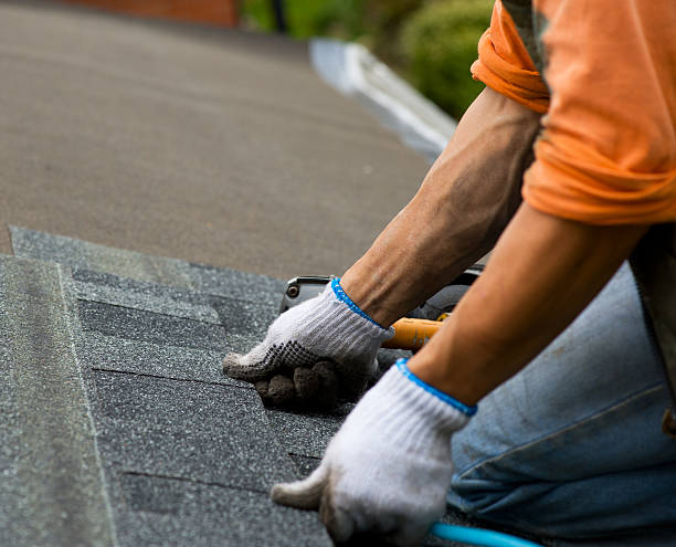 Best Shingle Roofing Installation  in Elk River, MN