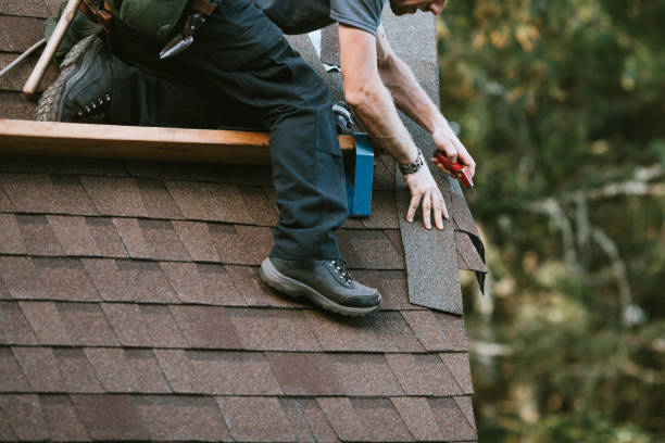 Best Roof Leak Repair  in Elk River, MN